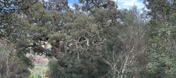 92737m² Land in Sant'Antonio di Gallura, Italy No. 117507 25