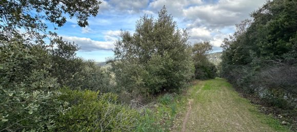 92737m² Land in Sant'Antonio di Gallura, Italy No. 117507 26