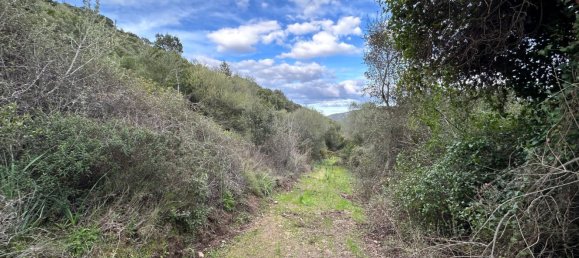92737m² Land in Sant'Antonio di Gallura, Italy No. 117507 18