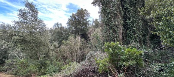 92737m² Land in Sant'Antonio di Gallura, Italy No. 117507 33