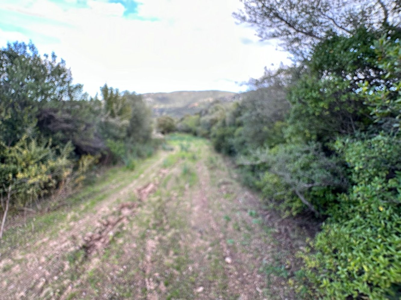 92737m² Land in Sant'Antonio di Gallura, Italy No. 117507
