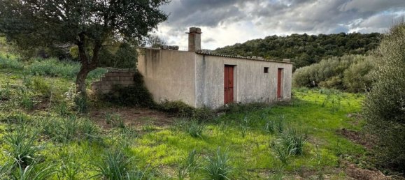 92737m² Land in Sant'Antonio di Gallura, Italy No. 117507 15
