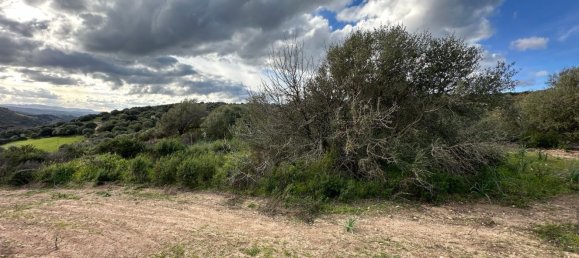 92737m² Land in Sant'Antonio di Gallura, Italy No. 117507 11