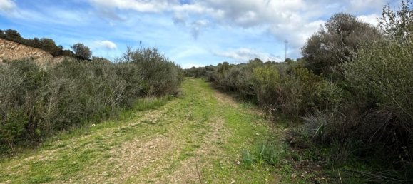 92737m² Land in Sant'Antonio di Gallura, Italy No. 117507 8