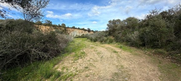 92737m² Land in Sant'Antonio di Gallura, Italy No. 117507 9