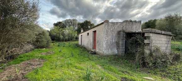 92737m² Land in Sant'Antonio di Gallura, Italy No. 117507 14