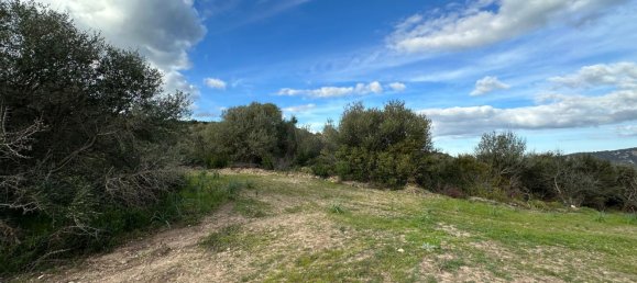 92737m² Land in Sant'Antonio di Gallura, Italy No. 117507 12