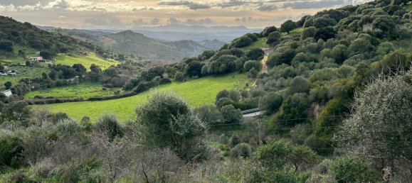 92737m² Land in Sant'Antonio di Gallura, Italy No. 117507 6