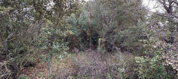 92737m² Land in Sant'Antonio di Gallura, Italy No. 117507 29