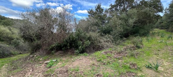 92737m² Land in Sant'Antonio di Gallura, Italy No. 117507 30