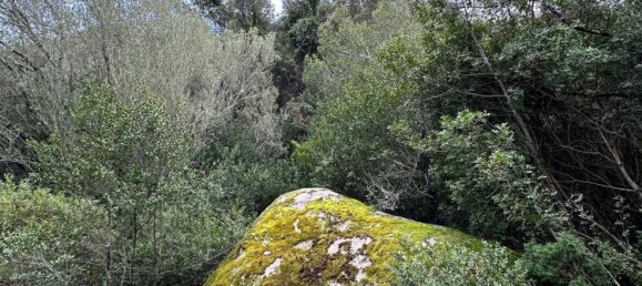 92737m² Land in Sant'Antonio di Gallura, Italy No. 117507 19