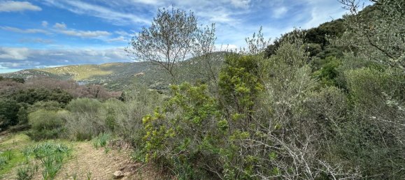 92737m² Land in Sant'Antonio di Gallura, Italy No. 117507 34