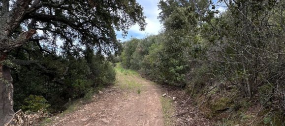 92737m² Land in Sant'Antonio di Gallura, Italy No. 117507 23