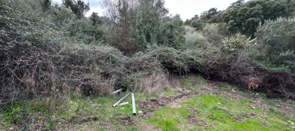 92737m² Land in Sant'Antonio di Gallura, Italy No. 117507 32