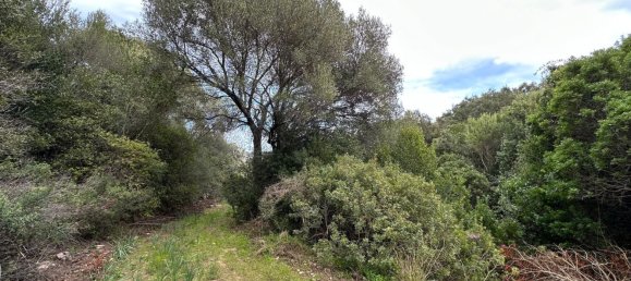 92737m² Land in Sant'Antonio di Gallura, Italy No. 117507 37