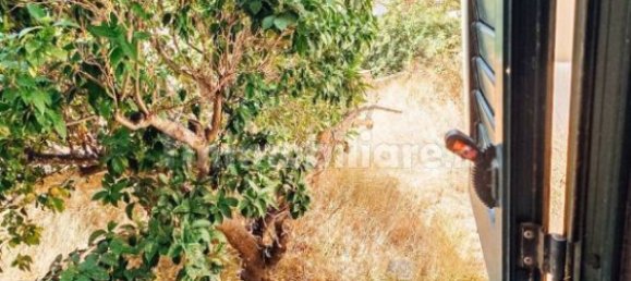 3 غرف نوم شقة في Gagliano del Capo, Italy رقم 302498 10