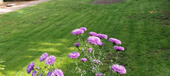 5 bedrooms Townhouse in Mettmann, Germany No. 218058 5