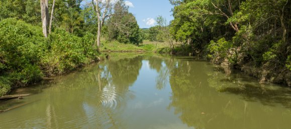 15 Schlafzimmer Haus in Nimbin, Australia, Nr. 976 5