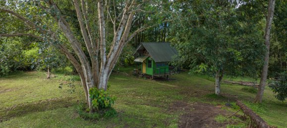 15 Schlafzimmer Haus in Nimbin, Australia, Nr. 976 19