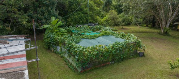 15 Schlafzimmer Haus in Nimbin, Australia, Nr. 976 20