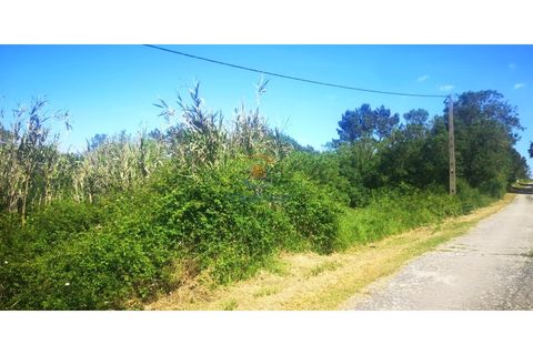  Commercial property in Mafra, Portugal No. 302016