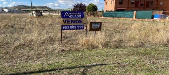 5829m² Land in Penafiel, Spain No. 66633 2