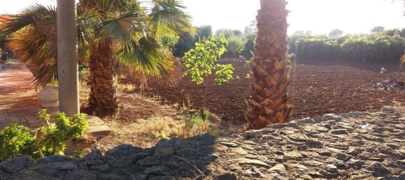 9 rooms Apartment in Porto Cesareo, Italy No. 109519 16