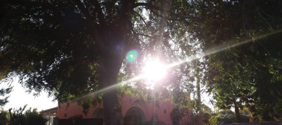 9 rooms Apartment in Porto Cesareo, Italy No. 109519 3