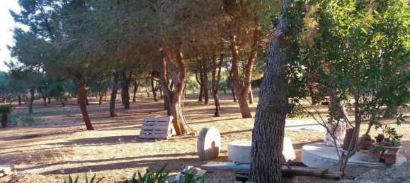 9 rooms Apartment in Porto Cesareo, Italy No. 109519 6