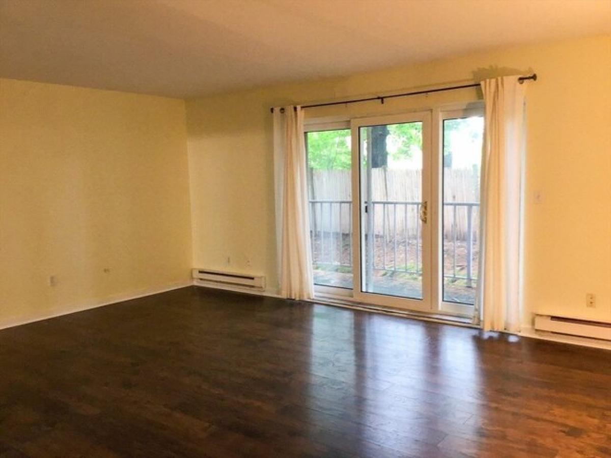 Studio in Needham, USA No. 428134