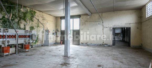 4-Zimmer Lagerhaus in Bientina, Italy, Nr. 275157 16