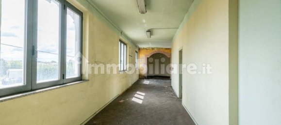 4-Zimmer Lagerhaus in Bientina, Italy, Nr. 275157 26