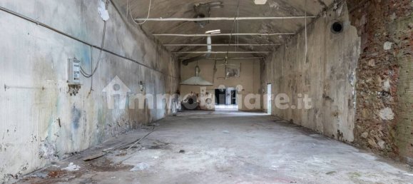 4-Zimmer Lagerhaus in Bientina, Italy, Nr. 275157 50