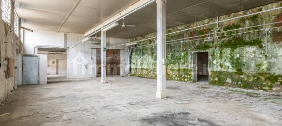 4-Zimmer Lagerhaus in Bientina, Italy, Nr. 275157 48