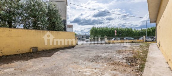 4-Zimmer Lagerhaus in Bientina, Italy, Nr. 275157 9