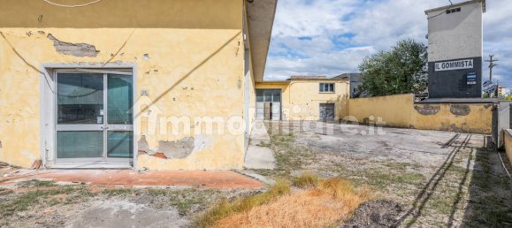 4-Zimmer Lagerhaus in Bientina, Italy, Nr. 275157 6