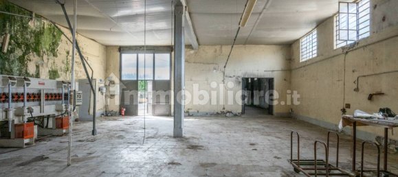 4-Zimmer Lagerhaus in Bientina, Italy, Nr. 275157 17