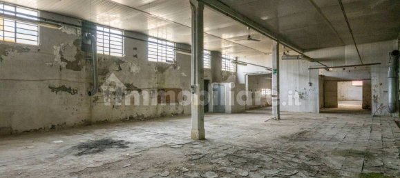 4-Zimmer Lagerhaus in Bientina, Italy, Nr. 275157 47