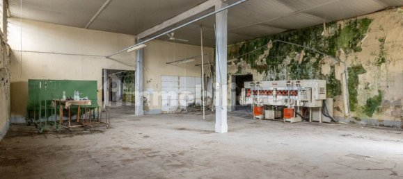 4-Zimmer Lagerhaus in Bientina, Italy, Nr. 275157 14