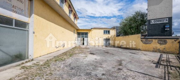 4-Zimmer Lagerhaus in Bientina, Italy, Nr. 275157 4