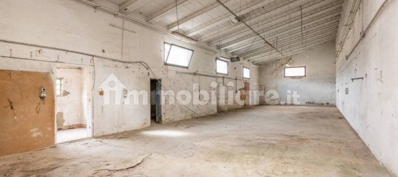 4-Zimmer Lagerhaus in Bientina, Italy, Nr. 275157 42