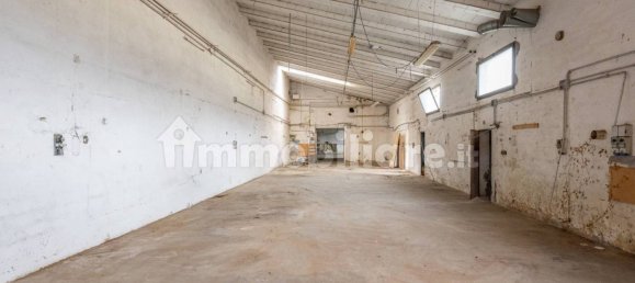 4-Zimmer Lagerhaus in Bientina, Italy, Nr. 275157 38