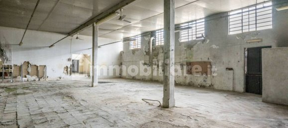 4-Zimmer Lagerhaus in Bientina, Italy, Nr. 275157 46