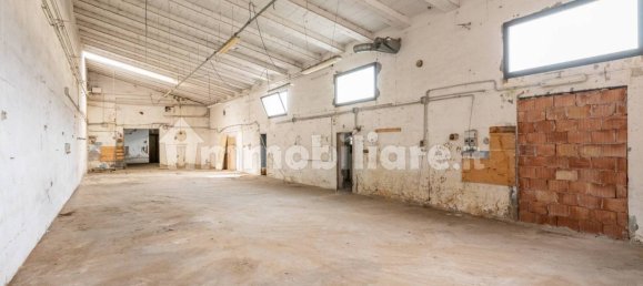 4-Zimmer Lagerhaus in Bientina, Italy, Nr. 275157 39