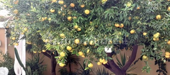 Apartamento de 1 dormitorio en Sogliano Cavour, Italy No. 319272 13