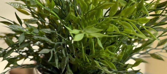 3 bedrooms Apartment in Prato, Italy No. 323169 8