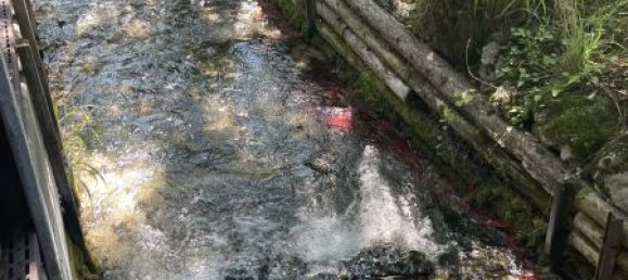 Casa de 5 divisões em Neunkirchen, Austria N.º 246983 7