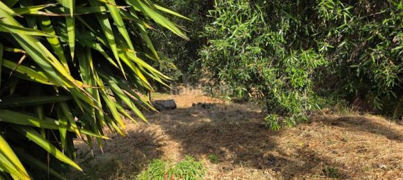 462m² Land in Abrera, Spain No. 156741 3