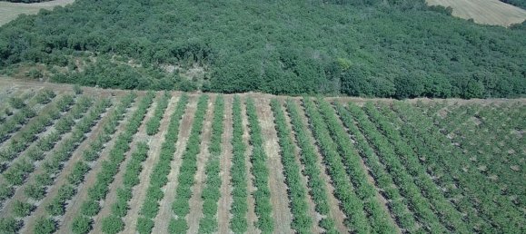 5 غرف نوم منزل في Limoux, France رقم 336074 19