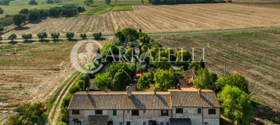 18 rooms House in Castiglione del Lago, Italy No. 3063 8